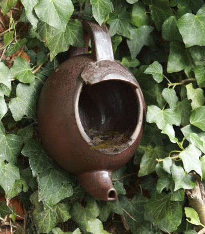 Robin Teapot Nester