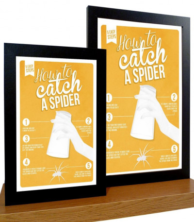How To Catch A Spider Poster