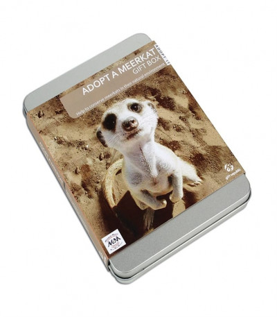 Adopt A Meerkat Gift Box