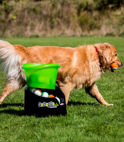 GoDogGo G4 Automatic Dog Ball Thrower