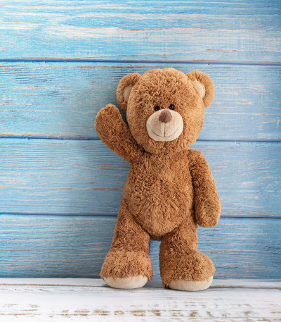 Teddy Bear