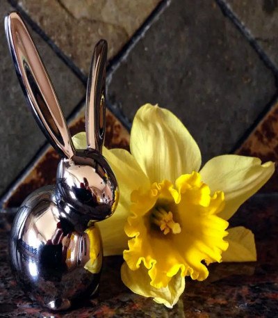 Rabbit Ring Holder
