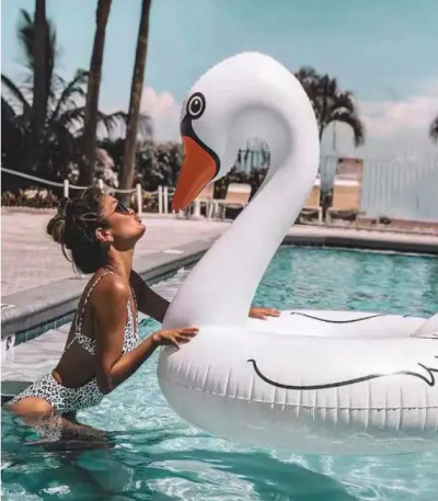 Giant Inflatable Swan