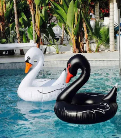 Giant Inflatable Swan