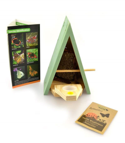 Butterfly Biome - Habitat and Feeder