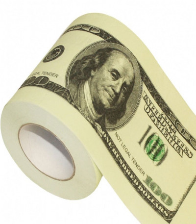 Money Toilet Roll