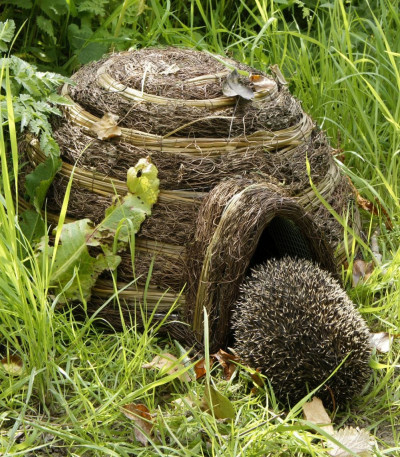 Igloo Hedgehog Home