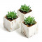 Square Marble Pots Set of 3