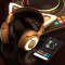 Cat Ear Headphones
