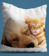 Personalised Pet Photo Cushion