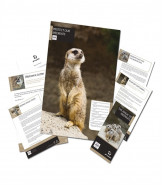 Adopt A Meerkat Gift Box
