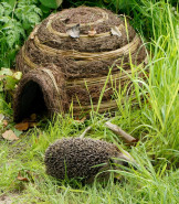 Igloo Hedgehog Home